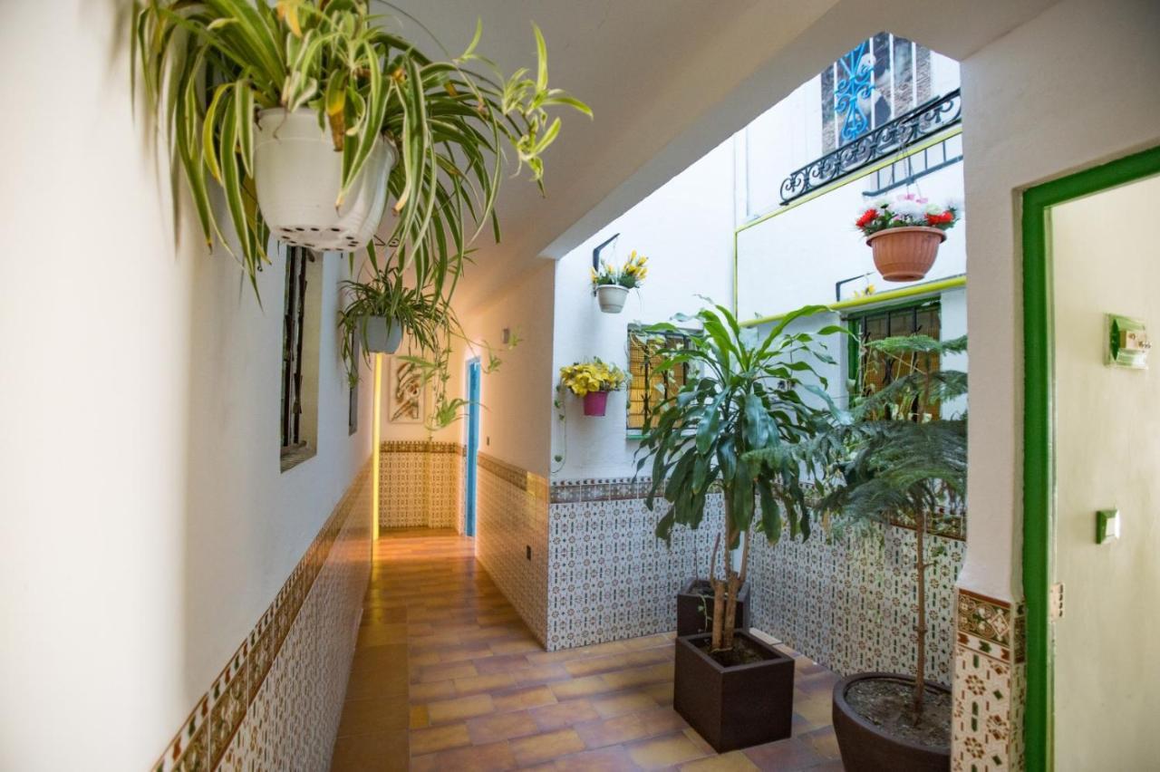 Apartamentos Carihuela 托雷莫利诺斯 外观 照片